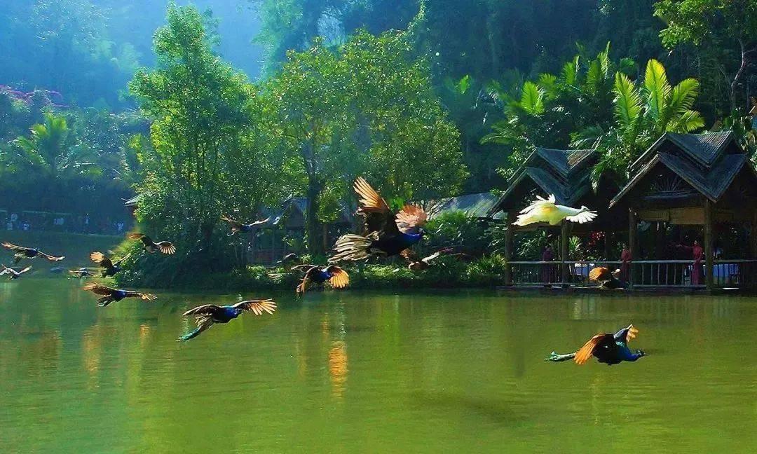 艾迪芬奇的记忆